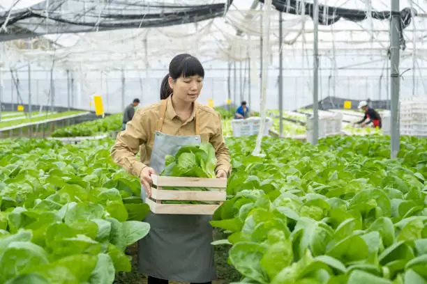 Elegir los mejores proveedores sostenibles de alimentos