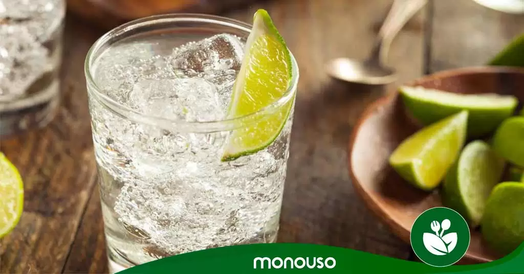 vasos-gin-tonic-portada