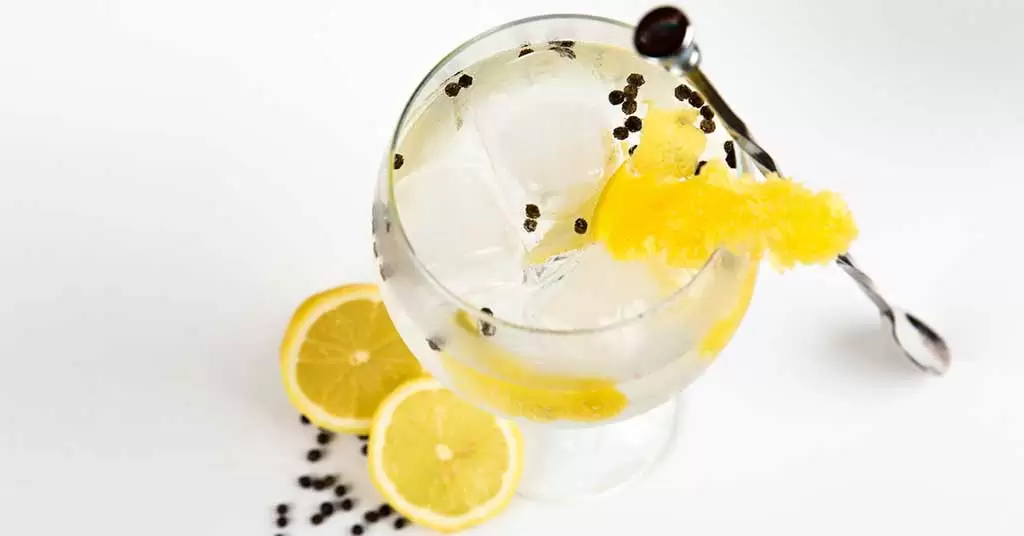 vasos-gin-tonic