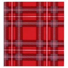 Servilleta Papel "Glasgow" Punta-Punta 40x40cm (50 Uds)