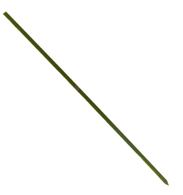 Pinchos de Bambu Verde Natural 250mm (200 Uds)